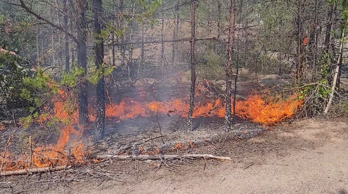 The fire spreads in the test area small